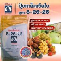 ปุ๋ยเกล็ด (1ก.ก) 8-26-26