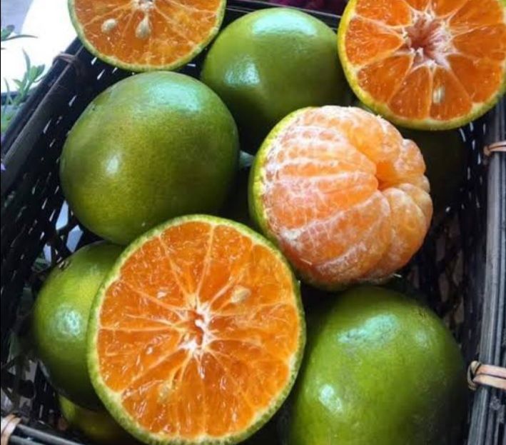 ส้มโชกุน-เป็นไม้ผลที่ปลูกในพื้นที่จังหวัดยะลา-ปัจจุบันได้รับความนิยมและเป็นที่่ต้องการของตลาด-ด้วยรสชาติหวานอมเปรี้ยว-เนื้อนุ่มไม่มีกาก-nbsp