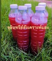 หัวเชื้อจุลินทรีย์สังเคราะห์แสง ขนาด 600 ml. สูตรเข้มข้น (PSB)2️⃣4️⃣ บาท  พร้อมใช้ ขยายเชื้อได้เร็วทันใจแน่นอน