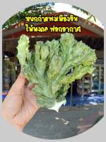 หยกกำแพงเมืองจีน (ตัดสด)