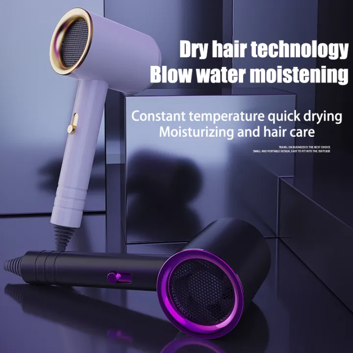 【COD】2IN1 Silence Blower Hair Dryer Fast BlowDrying Without Damaging