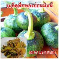 เมล็ดฟักทองอ่อน 10-12 เมล็ด โปรซื้อ 1 ซองแถม 1ซอง