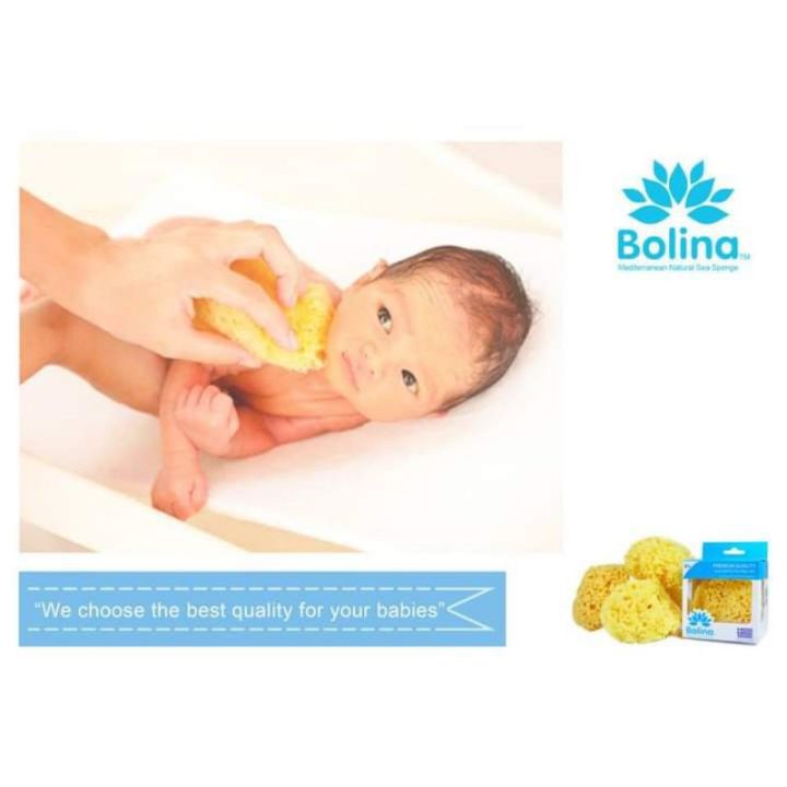 bolina-โบลิน่า-ฟองน้ำธรรมชาติเเท้-100-จาก-ทะเลเมดิเตอร์เรเนียน