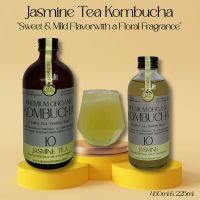 Kombucha - Jasmine Tea Organic Raw Kombucha