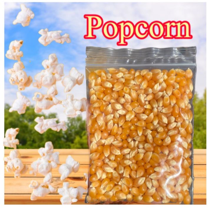 เมล็ดข้าวโพดป๊อปคอร์น-ป๊อปคอร์น-popcorn-ขนาด100กรัม-ทำป๊อปคอร์นเองที่บ้านร้อนๆ