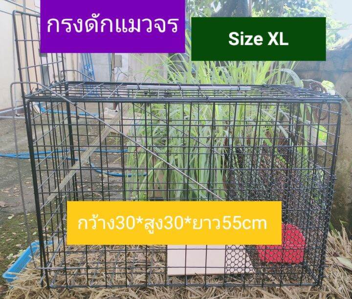 ดักแมวจรแมวขโมย-size-xl-30-30-55cm