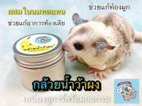 ( กระปุก BANANA POWDER ) กล้วย กล้วยน้ำว้า ผลไม้ ขนม อาหารเสริม อาหารผง อาหารเหลว สัตว์เล็ก ชูการ์ กระรอก แฮมสเตอร์