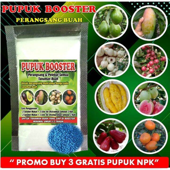 Pupuk Booster Pelebat Dan Perangsang Buah | Lazada Indonesia