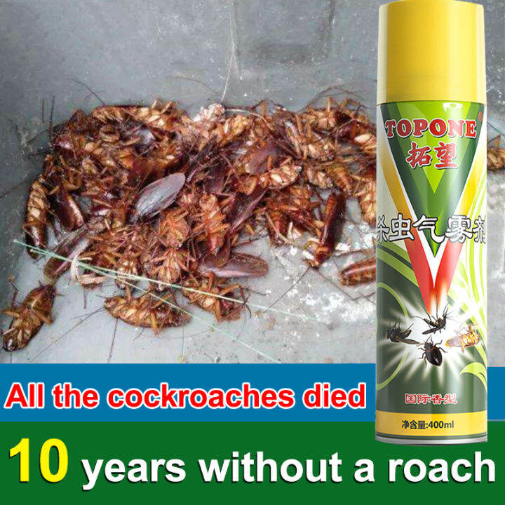 Insecticide Spray Insect Repellents Mosquito Killer Cockroach Killer