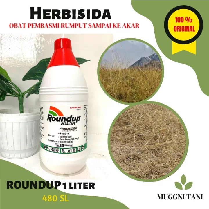 Roundup 1 Liter 486sl Herbisida Obat Pembasmi Rumput Sampai Ke Akar