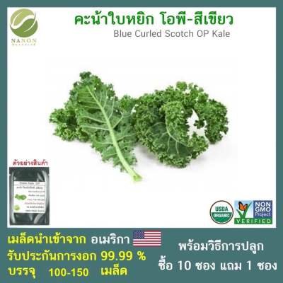 เมล็ดเคลคะน้าใบหยิก จำนวน 100-150 เมล็ด