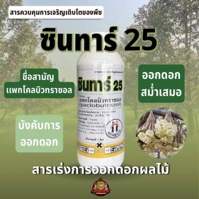 ซินทาร์25 ตราหญิงงาม สารแพกโคลบิวทราซอล25% เนื้อครีมละเอียดสูงมากกว่า 45 ไมครอน สารควบคุมการเจริญเติบโตของพืช