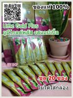 Ume Gold Plus : ยูมีโกลด์พลัส รสแอปเปิ้ล(20 ซองไม่ได้ใส่กล่อง)