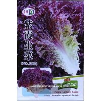 เมล็ดพันธุ์ ผักกาดหอม สีม่วง (Purple Lettuce Seed) บรรจุ 1500 เมล็ด