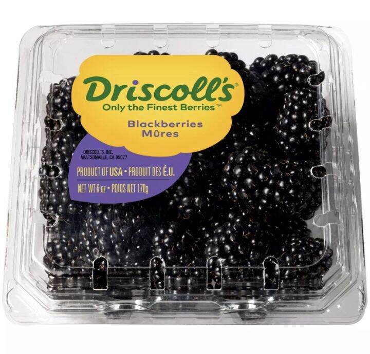 Blackberries Driscoll's 170g pack Lazada PH
