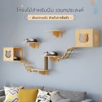 โครงไม้ติดผนัง DIY สำหรับปีน  ไม้สนธรรมชาติ โครงไม้ตกแต่งบ้าน