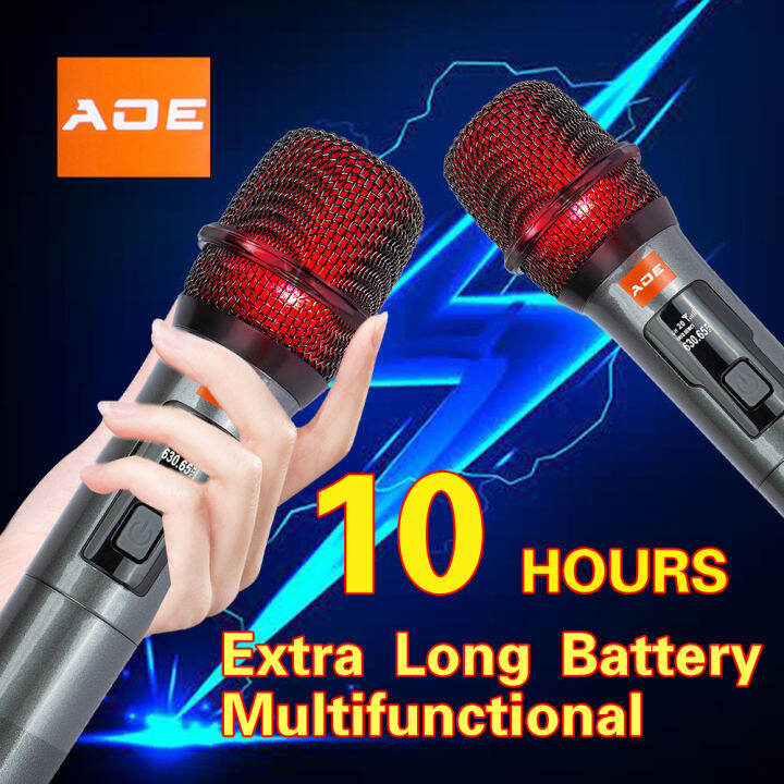 Wireless Microphone Dual Handheld Microphone with Receiver Professional