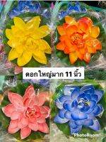 ดอกบัวใหญ่ขนาด 11 นิ้ว (พร้อมส่ง)