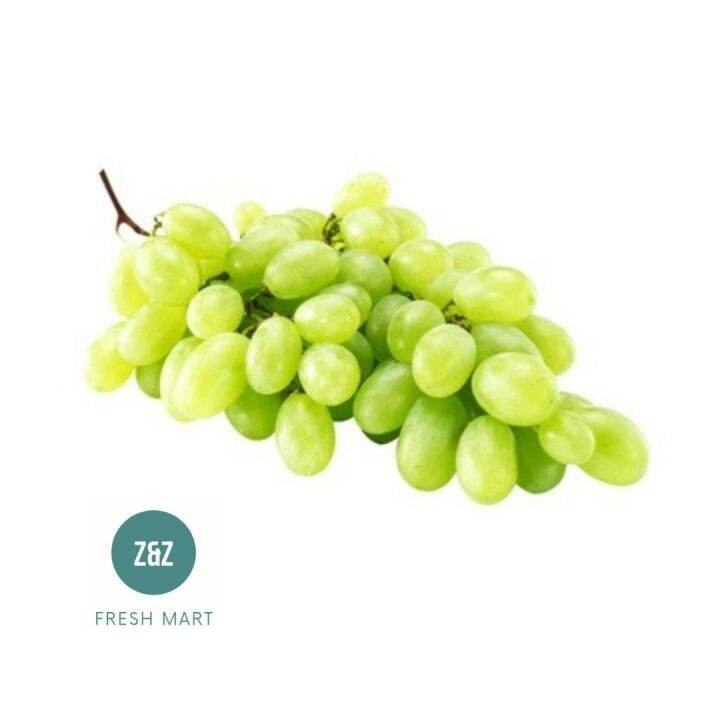 Green Seedless Grapes / Anggur Hijau (500g) Lazada