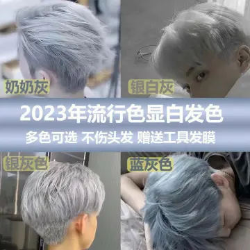 ash grey hair dye - Prices and Deals - Mar 2024