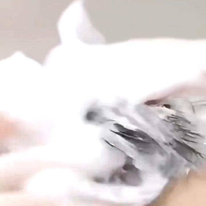 Zudaifu Herbal Shampoo 120ML Treatment Eczema Dermatitis Anti fungal