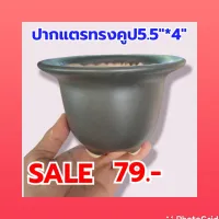 กระถางปากแตรทรงคูป5.5"