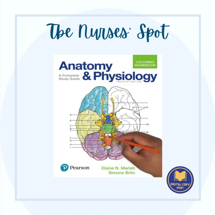 Anatomy and Physiology Coloring Workbook:A Complete Study Guide by ...