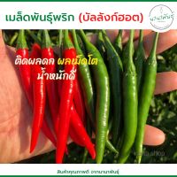 พริกบัลลังก์ฮอต (แบบทดลองปลูก) พริกลูกดก น้ำหนักดี