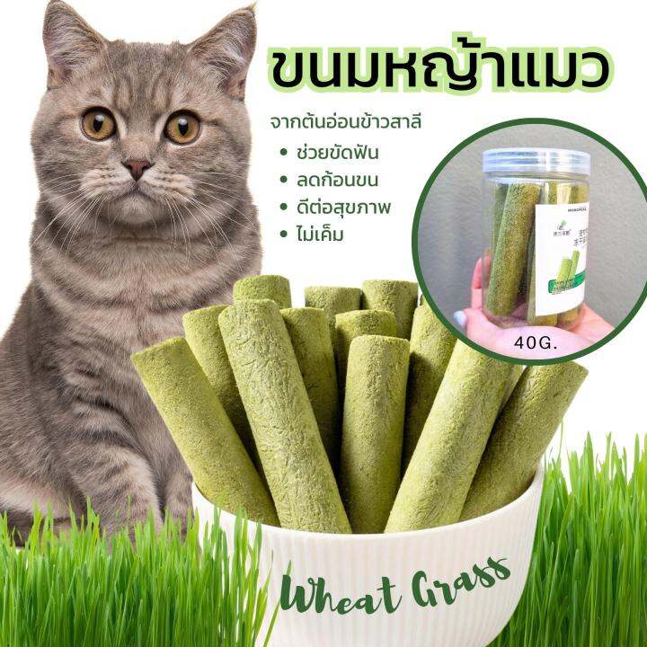 ขนมหญ้าแมวฟรีซดราย-อัดแท่ง-แบบแท่งใหญ่-8แท่ง-40ก-จากต้นอ่อนข้าวสาลี-อกไก่-เนื้อสัตว์-ฟรีซดราย-ขนมสุนัข-ขนมแมว-ทรีทสัตว์เลี้ยง-ลดก้อนขน