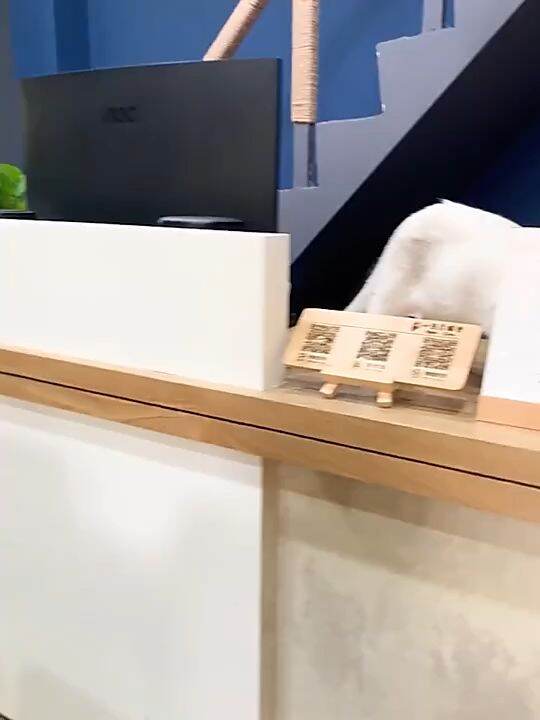 SVIAO A4 ORIGINAL and LEGIT CERTIFICATE PHOTO FRAME DESKTOP DISPLAY STAND SLANTED BACK WOOD BASE