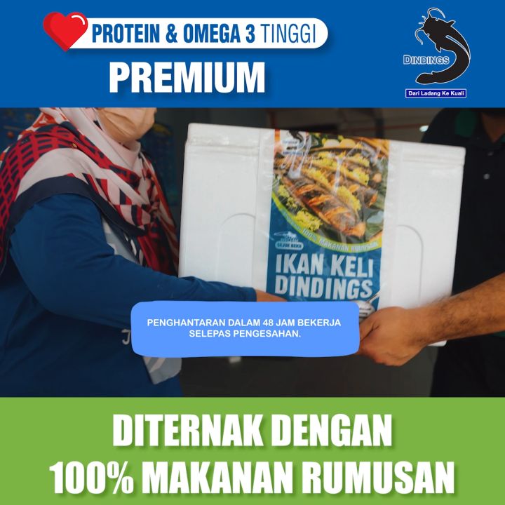 Dindings Ikan Keli Catfish Frozen (1carton=18pek) Protein & Omega 3