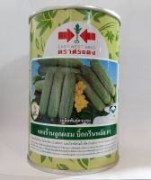 เมล็ดพันธุ์แตงร้าน F1 บิ๊กกรีน พลัส 100 กรัม