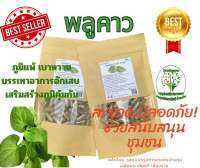 ใบพลูคาว  ขนาด 50 / 100 แคป (1pcs : 500mg.) สมุนไพรไทยแท้ 100% พร้อมส่ง (Suan Khrua Thai)