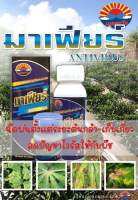 ป้องกันไวรัส  #มาเฟียร์  ป้องกัน ยับยั้ง ไช้พร้อมยาอื่นได้ หยุด❗️ยับยั้ง❗️ไม่ลุกลาม❗️ไม่ผิดหวัง ขนาด500cc.