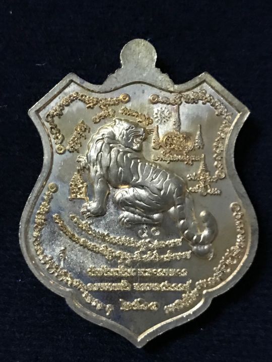 เหรียญรุ่นพยัคฆ์ปากน้ำโพ-หลวงพ่อพัฒน์-ปี-63-สัตตะลงยาแเดง