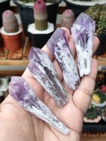 ? อเมทิสบาเฮีย ? มีให้เลือก 4 แบบ A-D✨
? Bahia Amethyst  Point