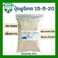 ปุ๋ยฟูจิเทค สูตร 15-5-20+TE ขยายผล สร้างเนื้อ น้ำหนักดี เพิ่มความหวาน และคุณภาพผลผลิต | โซตัส | ขนาดแบ่งบรรจุ 1Kg.