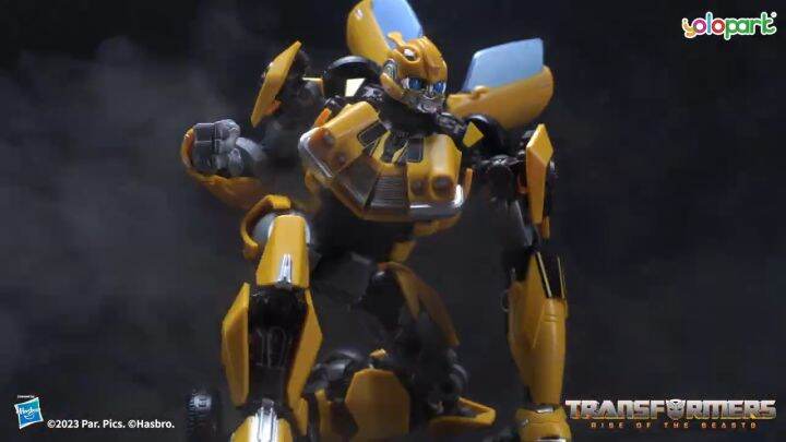 Partito enico 18 cm Bumblebee Piatti parte occupata (pacchetto di 8
