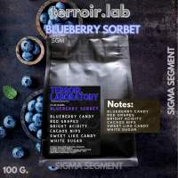 เมล็ดกาแฟ BLUEBERRY SORBET (250g.) — TERROIR LABORATORY