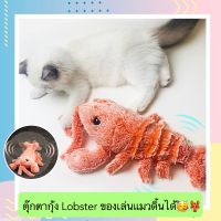 PE-359 ตุ๊กตากุ้ง Lobster ของเล่นแมวดิ้นได้ ช่วยดึงดูดความสนใจ ตุ๊กตาแมว ของเล่นแมวอัตโนมัติ ราคาถูก พร้อมส่ง?