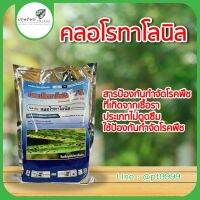 คลอโรทาโลนิล ขนาด 1 กิโลกรัม ราน้ำค้าง ราดำ เชื้อเข้าขั้วผล