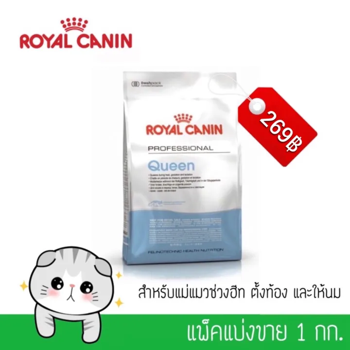 ROYAL CANIN สูตร QUEEN สำหรับแมวช่วงฮีท ตั้งท้อง และให้นม | Lazada.co.th