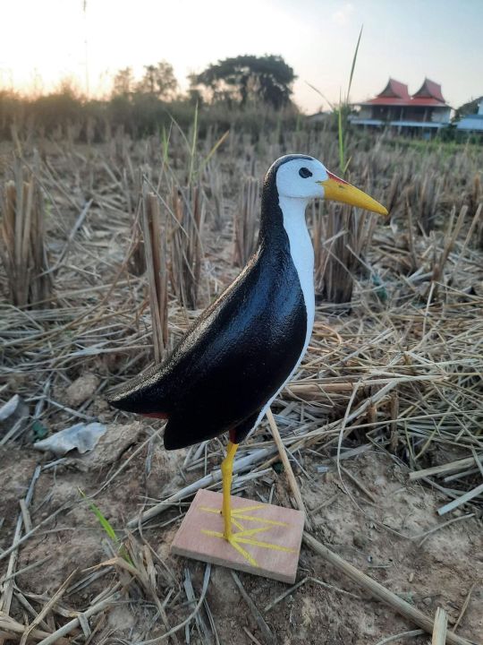 นกกวัก-นกไก่นา-หุ่นนกพร้อมเสียง-ตัวล่าสุดราคาเบาๆ-มีบริการเก็บปลายทาง