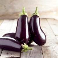 เมล็ดพันธุ์ มะเขือฟลอริด้า (Florida Market Eggplant Seed) บรรจุ 10 เมล็ด คุณภาพดี ราคาถูก ของแท้ 100%