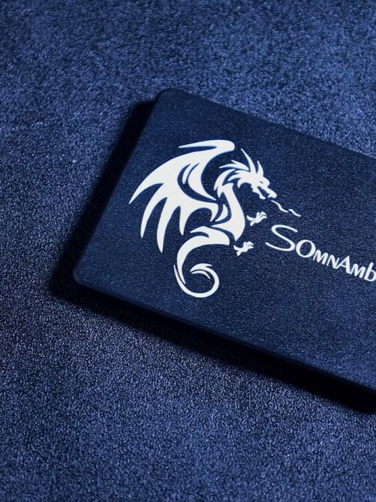 SomnAmbulist SSD SATA3 2.5-inch 240GB 480GB 512GB 128GB 256GB 120GB  Internal Solid State Drive Pen for Notebooks and Desktops Lazada PH