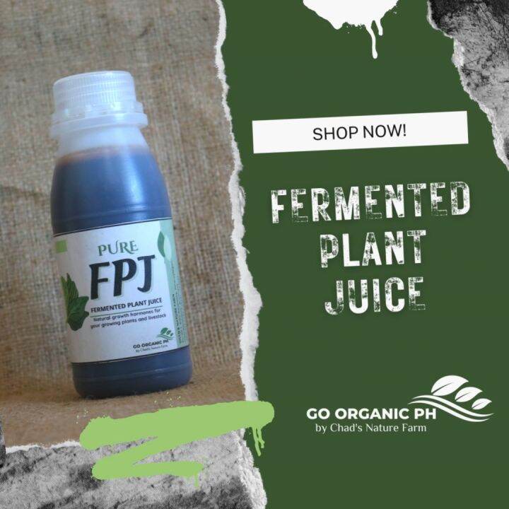 GO ORGANIC FPJ PURE Fermented Plant Juices Nitrogenrich Plants
