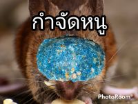 กำจัดหนู สะตอม(แบบ 6 เม็ด)