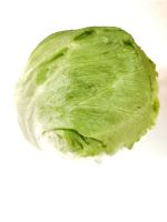 ผักกาดแก้ว สลัดแก้ว Iceberg Lettuce 1 หัว