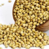 CORIANDER SEEDS,Dhaniya साबुत धनिया (ลูกผักชี) 100g.