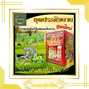 ประจัญบาน ราคาถูก ซื้อออนไลน์ที่ - ก.ค. 2023 | Lazada.Co.Th